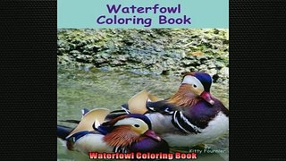 FREE DOWNLOAD  Waterfowl Coloring Book  DOWNLOAD ONLINE