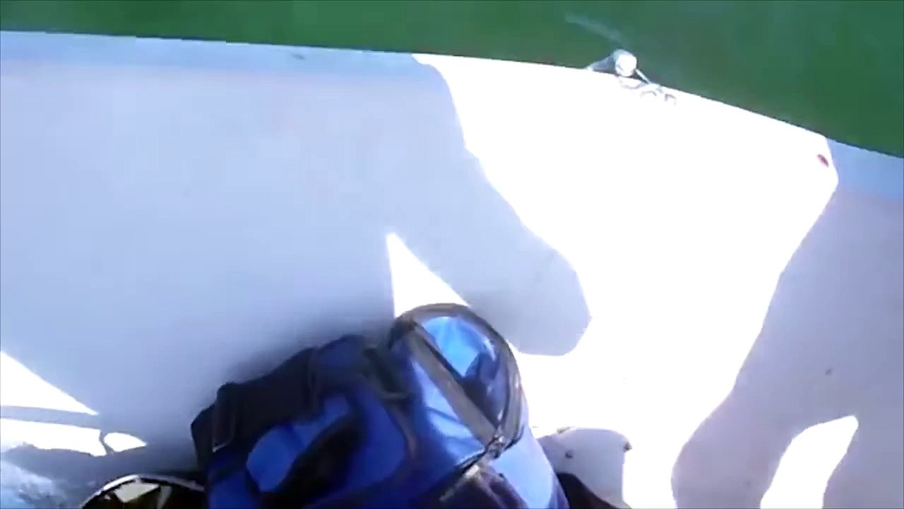 3 mecs sur un bateau prêchent un requin marteau, mais attendez de voir la suite !