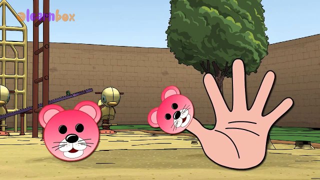 Teddy Bear Finger Family Nursery Rhyme | Cartoon Songs For Children