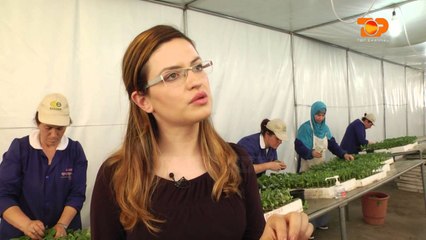 Ne Shtepine Tone, 20 Prill 2016, Pjesa 4 - Top Channel Albania - Entertainment Show