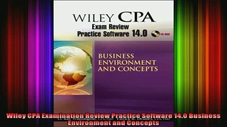 READ book  Wiley CPA Examination Review Practice Software 140 Business Environment and Concepts Free Online