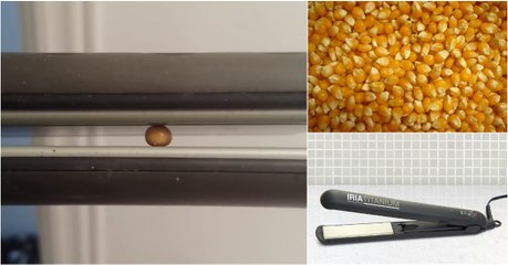 Encontrou alisador de cabelo da namorada e resolveu fazer experiência