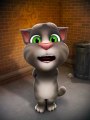 Talking TOM CAT Punjabi Style Urdu Funny kanger fight