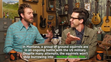 8 Freakiest Squirrel Facts