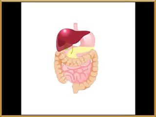학성동출장안마 ◆olo-4931-1169◆출장안마☚ 학성동출장마사지