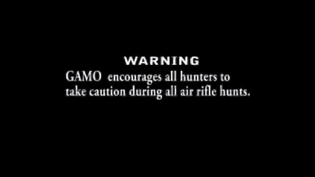Gamo Varmint Hunter Air Rifle