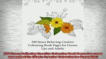 FREE PDF  200 Stress Relieving Creative Colouring Book Pages for grown ups and adults Magic READ ONLINE
