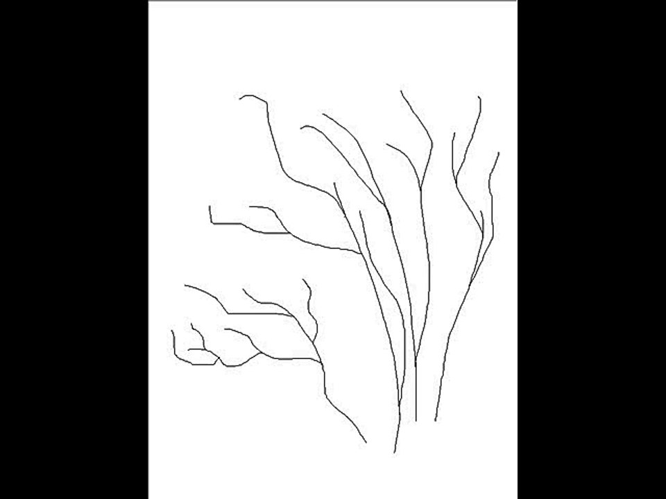 Marcelo da Luz - Pastoral