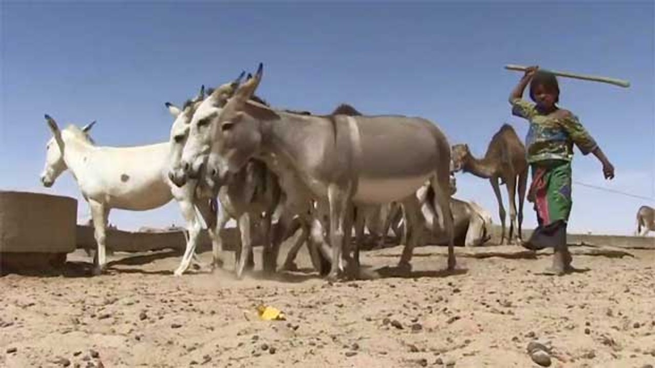 Solidarités - Les puits du désert (Partie 2)
