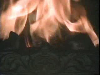 Funny Dog Cat and Mouse love fest commercial