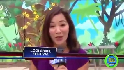 Funny videos 2016 - Cute Animals Teasing Hot Girls