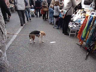 Lisbonne au marché de Pont de Vaux