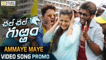 Ammaye Maye Video Song Trailer || Chal Chal Gurram Movie Songs - Filmyfocus.com