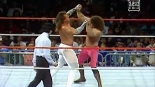 WWF 1989: Rick Rude VS Brutus Beefcake