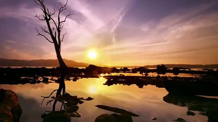 Andaman Tour Packages with Thomas Cook