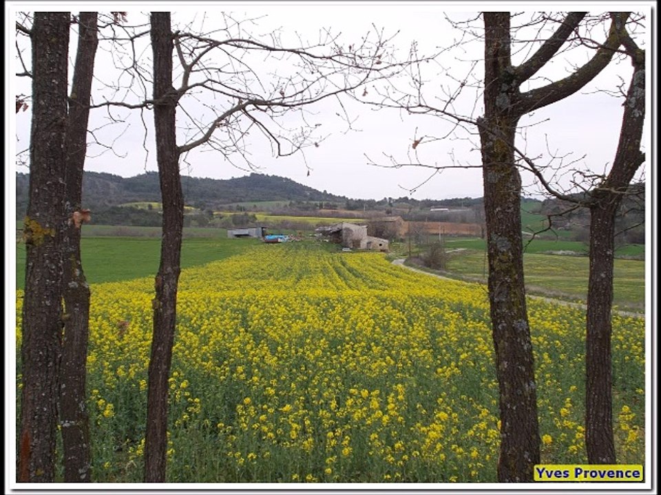 04 - Villeneuve - RandoCool - Le Pin Blanc