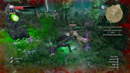 WITCHER 3 DEATH MARCH! WALKTHROUGH 8 THE BEAST OF WHITE ORCHARD & PRECIOUS CARGO