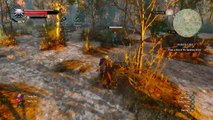 WITCHER 3 DEATH MARCH! WALKTHROUGH 10 ON DEATH'S BED