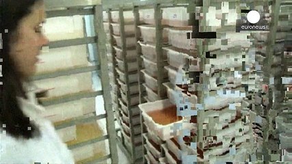 США розробляють план протидії вірусу Зіка