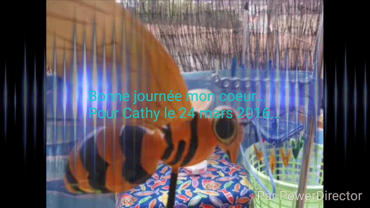 Extrait d'un film d'animation que j'avais bricolé pour m'amuser...