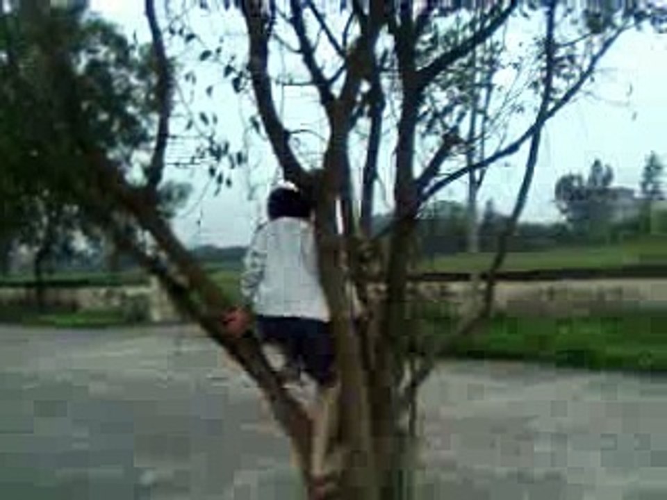 minh nhat 2 tuoi