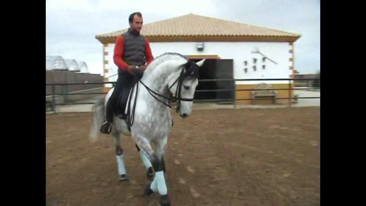 CID V