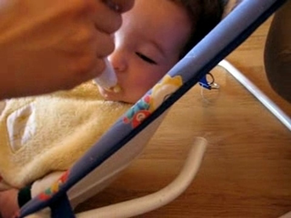 Premières cuillères de compotte