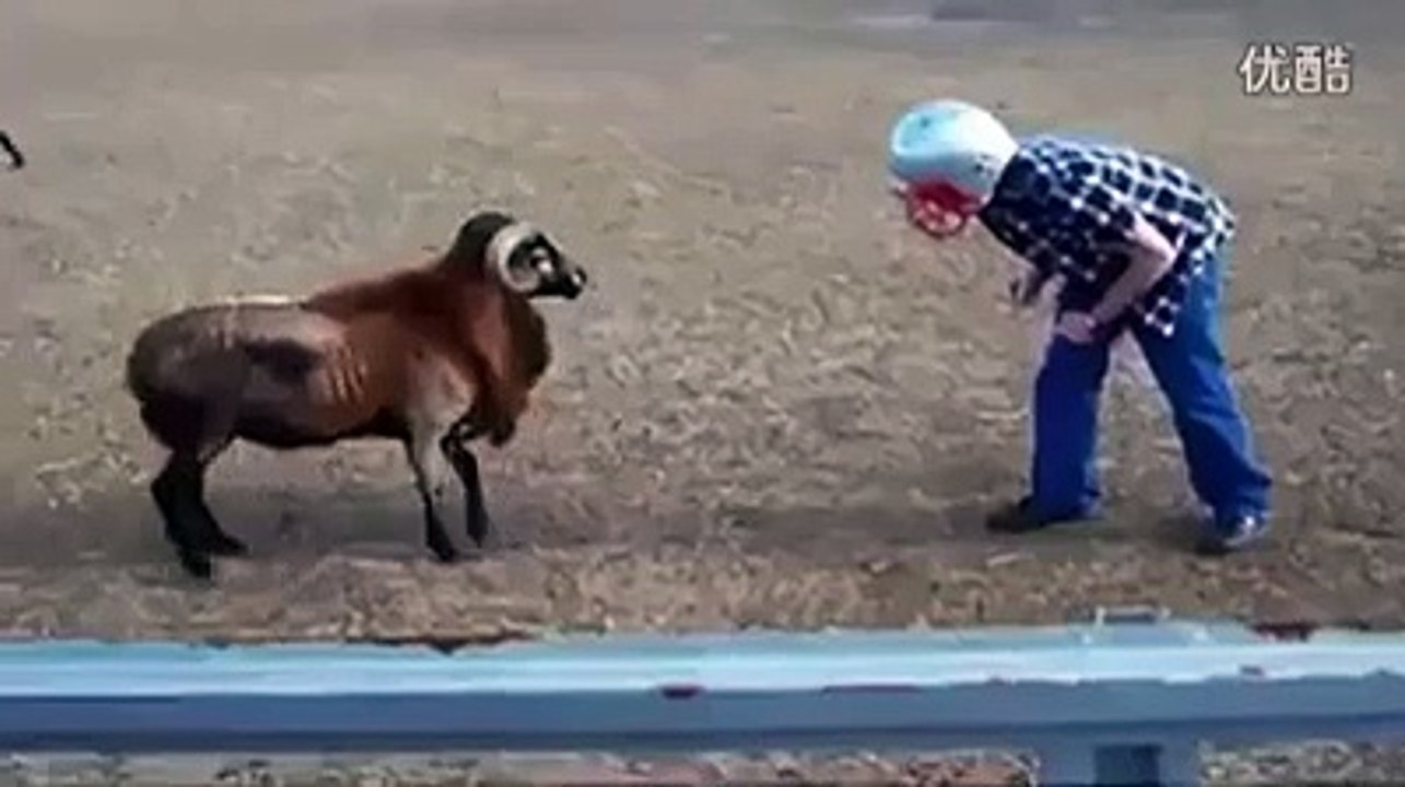 haha so funny ...Must watch