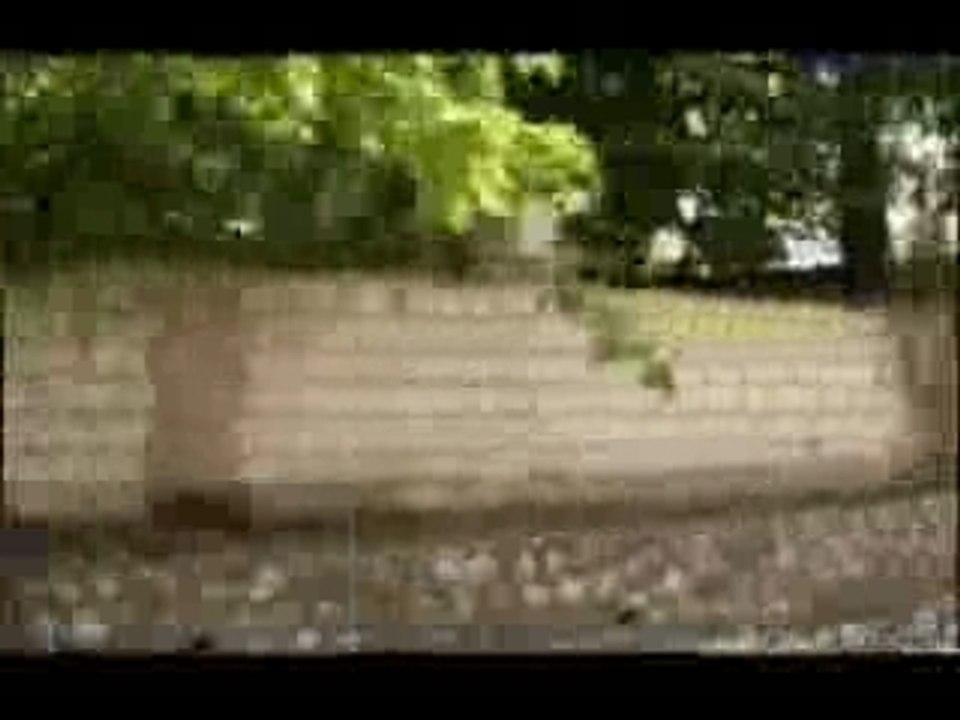 Richie Spice: Blood Again