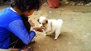 Cute Puppy Playing with Cute Baby Girl.- Must Watch Puppy and Baby Videos