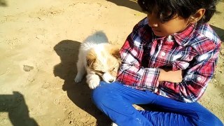 My Cute Puppy is my Best Friend - Cute Baby Video - Cute Puppy Video