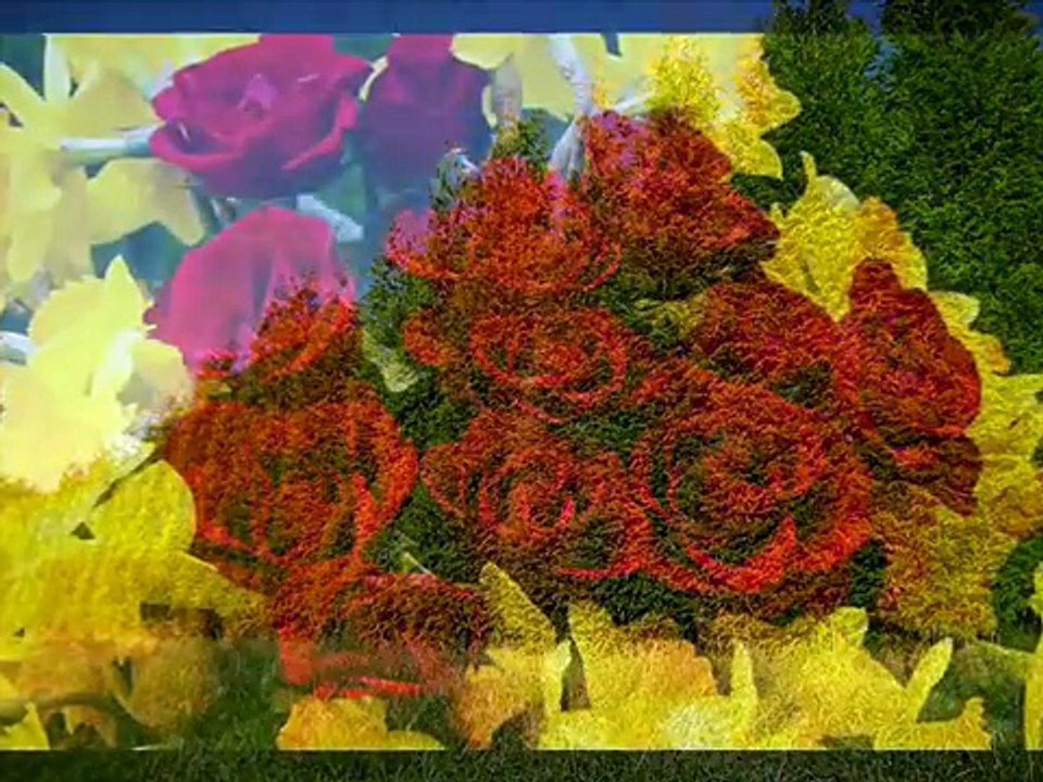 Louis Armstrong  What A Wonderful World - YouTube (360p)