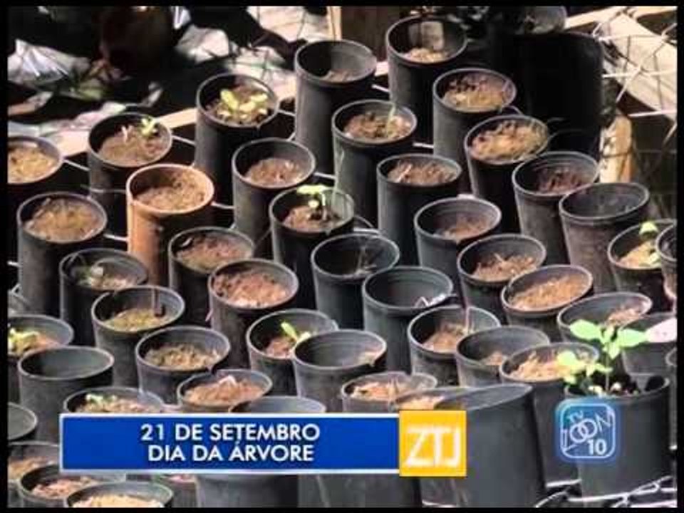 21-09-2015 - DIA DA ÁRVORE - ZOOM TV JORNAL