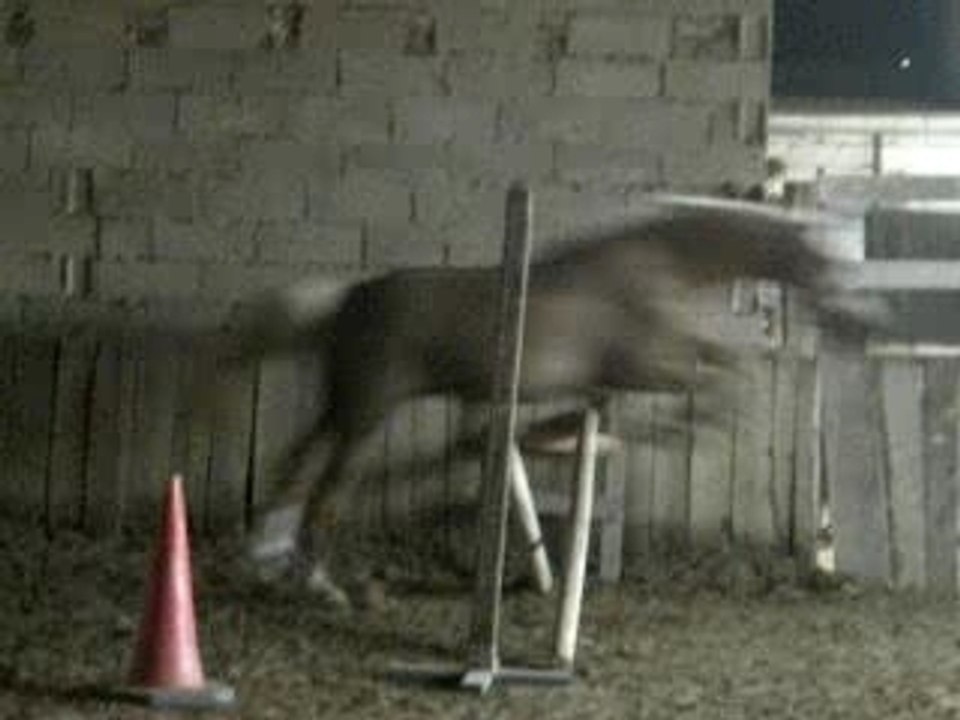 quinaro