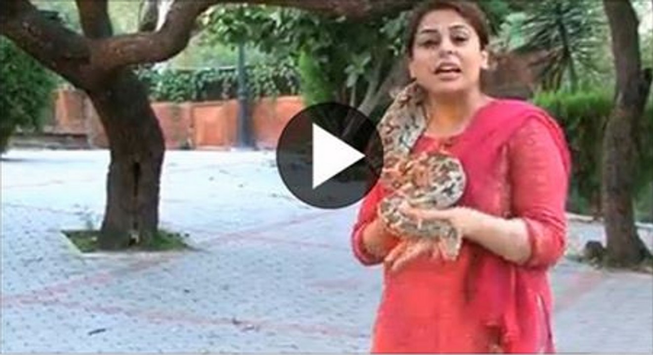 girl caught snake