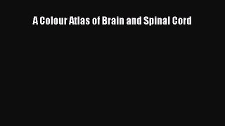 Download A Colour Atlas of Brain and Spinal Cord PDF Free