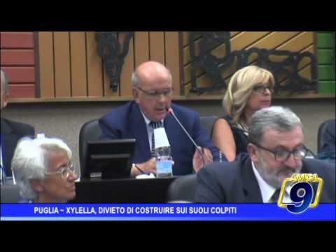 Puglia | Divieto di costruire su suoli colpiti da Xylella