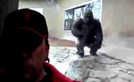 Enraged Gorilla Tries To Attack Zoo Goer Through Glass