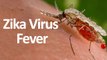 Zika Virus Fever Symptoms, Diagnosis & Treatment