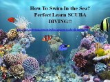 Top Swimming at Sea level-Scuba Diving