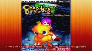 Chocobos Dungeon 2 Official Strategy Guide Bradygames Strategy Guides