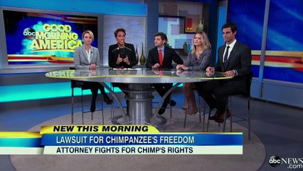 Unlocking the Cage - Trailer (HD)