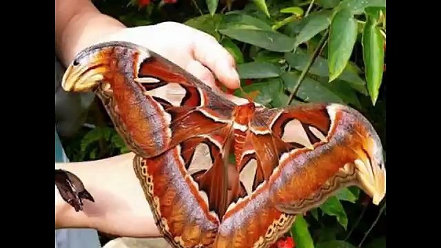 Los 10 mejores dibujos animados de los años 90