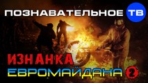 Изнанка Евромайдана 2 (Познавательное ТВ, Владимир Рогов)