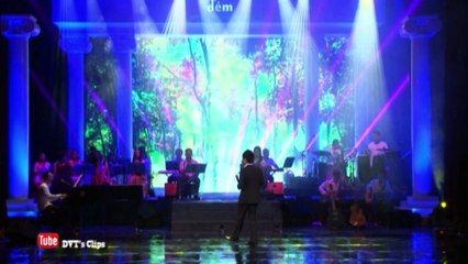 Nỗi nhớ dịu êm - Tấn Minh