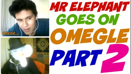 mr elephant goes on omagle part 2