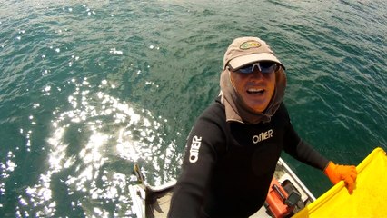 Convite ao Pedal solidário nos mares do Sul e do Norte, RJ e SP, mergulhando e  convidando a todos,  Ubatuba, SP, Brasil, 2016