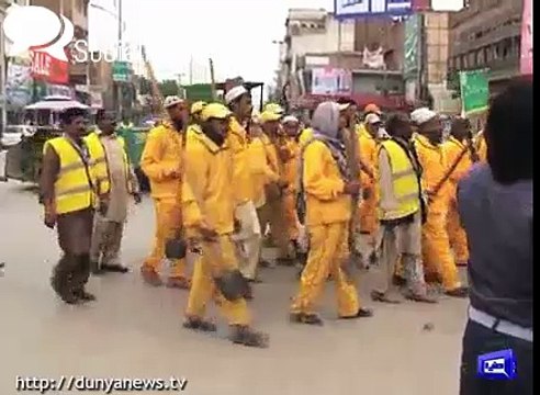 Politics on rat killing on its peak in Peshawar