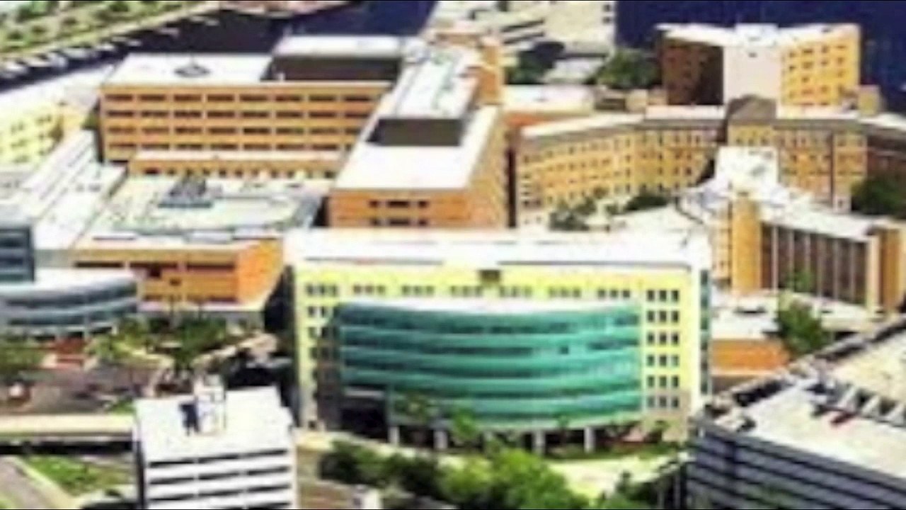 IBMS GCMETI Dr Shube Discusses Advanced Techniques of Interventional Radiology