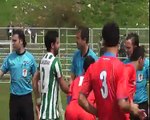 ALPİN POZANTI SPOR 3 ADANA GENÇLERBİRLİĞİ  1